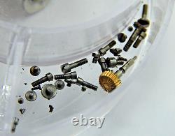 Antique Pocket watch movement parts 23 jewel 12s Lord Elgin grade 194 circa 1906