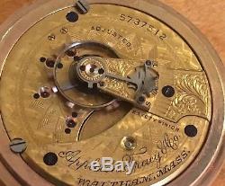 Gold Plated Movement Appleton Tracy